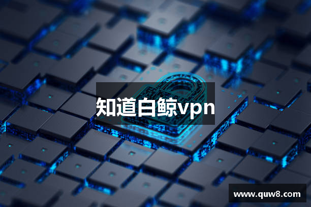 知道白鲸vpn