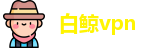 白鲸vpn